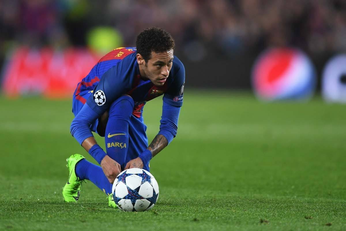 业提供了绿 业提供了绿