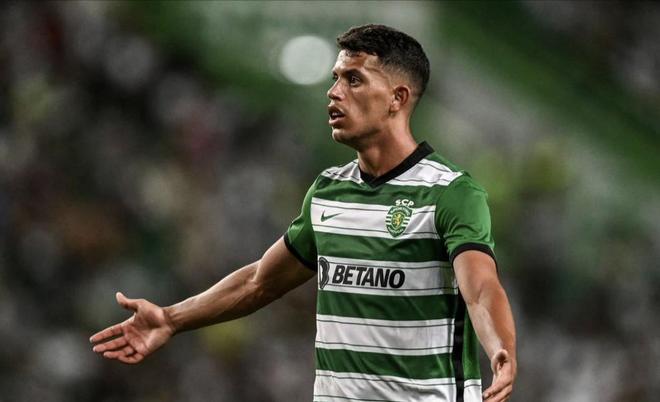 摩纳哥队本 摩纳哥队本